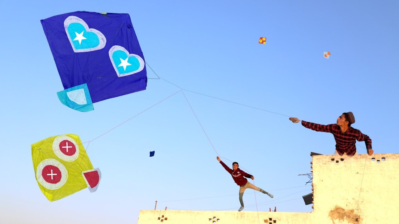 6 Kite Caught With 2 Fish Hook 2024