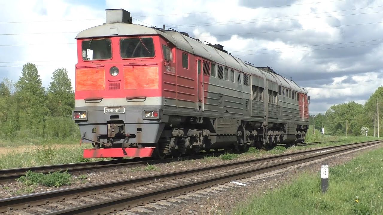 Любятово – Черняковицы – 262 км. Скорые, пригородные и грузовые поезда в Псковском районе. Май 2022