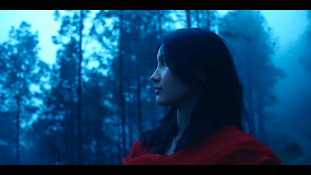 Ankit Shrestha - Taadhaa ko Taapu (Official Music Video)