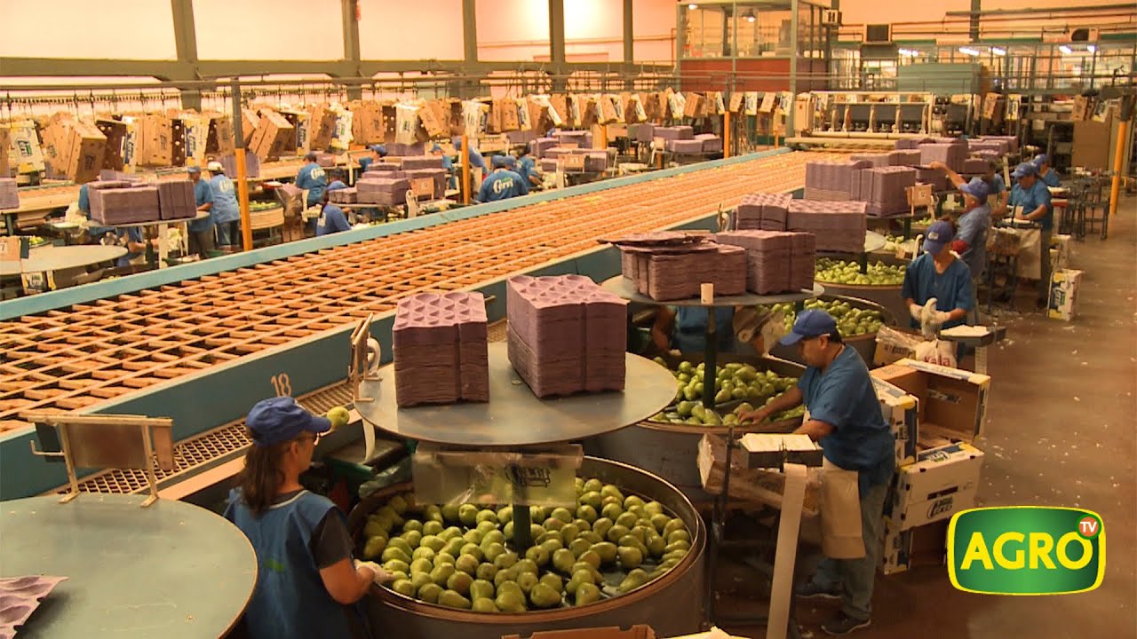 Modelo Cervi, frutas y carnes de calidad con ADN Patagónico (#865 2020-02-29)