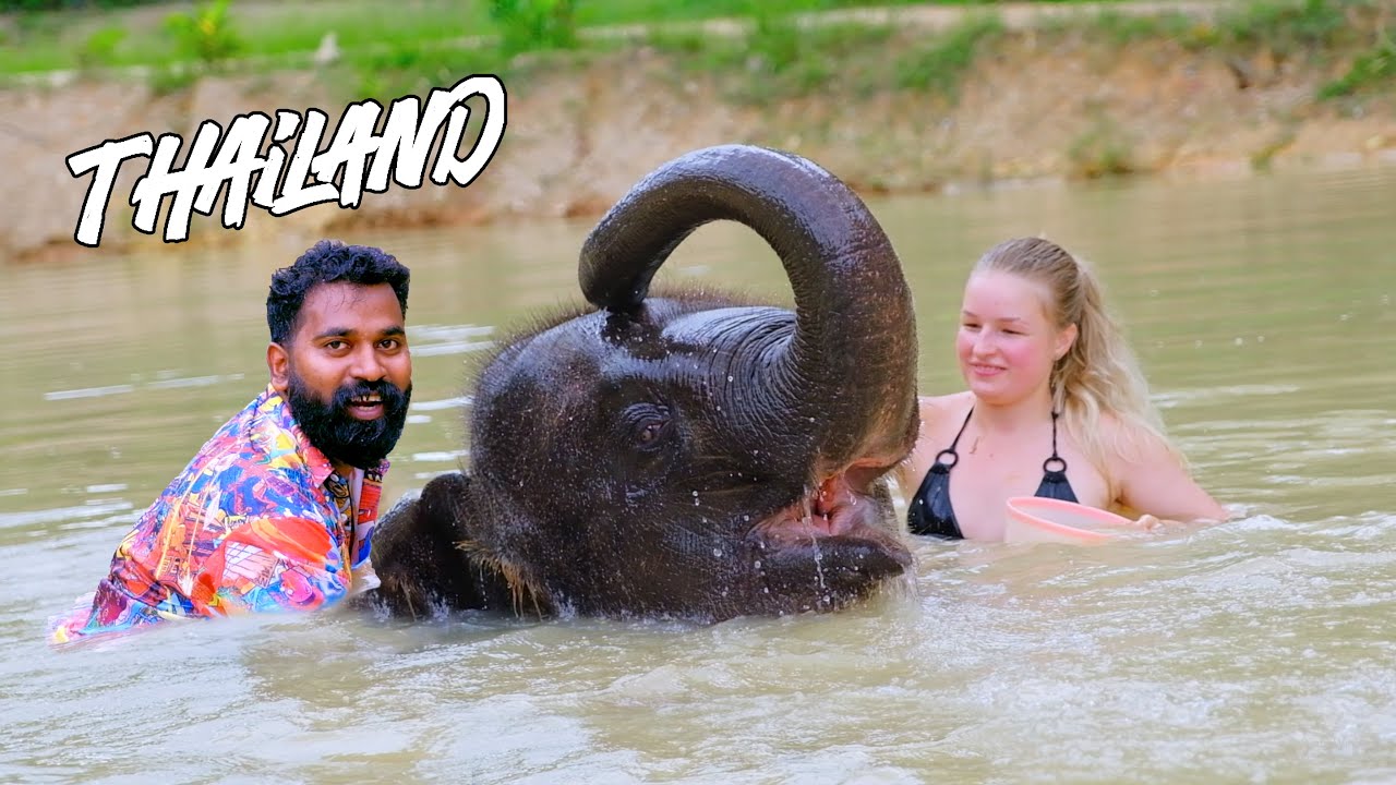 One Day With Elephant | ആനയും ഞാനും പിന്നെ | M4 Tech |