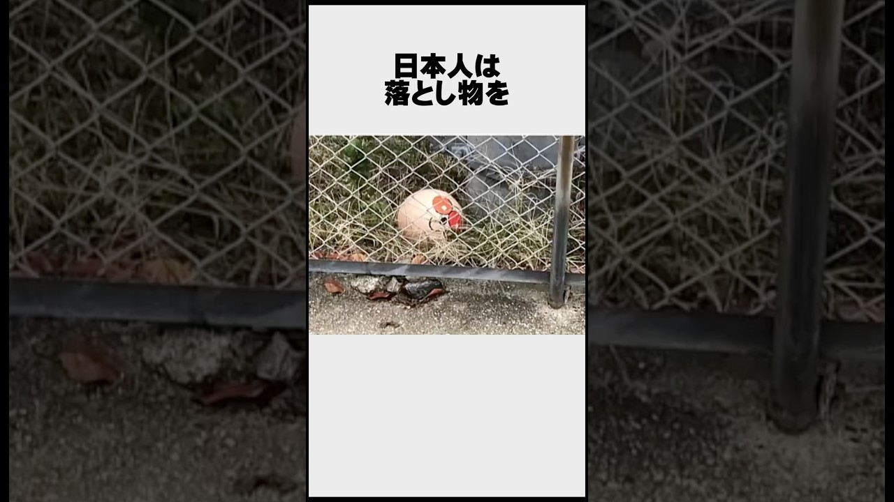 日本人に関する面白い雑学【海外の反応】#Shorts