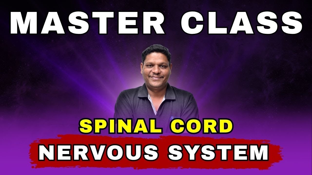 spinal cord anatomy in hindi | CLASS - 5 anatomy & physiology bsc nursing 1st sem | bhushan science