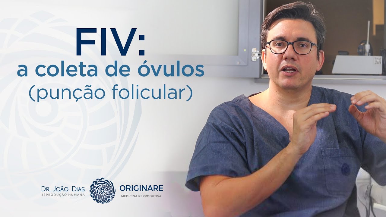 FIV: a coleta de óvulos (punção folicular) - Dr. João Dias