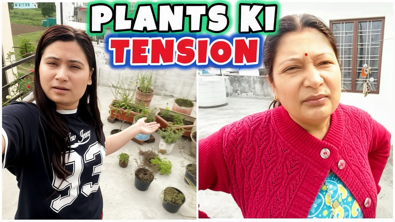 Mumi ko plants🪴 ki Tension💁🏻‍♀️Kya ? Hoga Aab 😳  @DikshaDeorariVlogs .