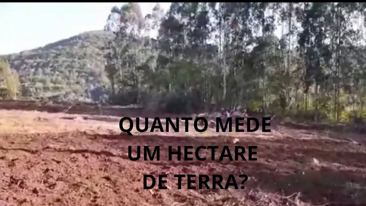 Quanto mede um Hectare de terra?