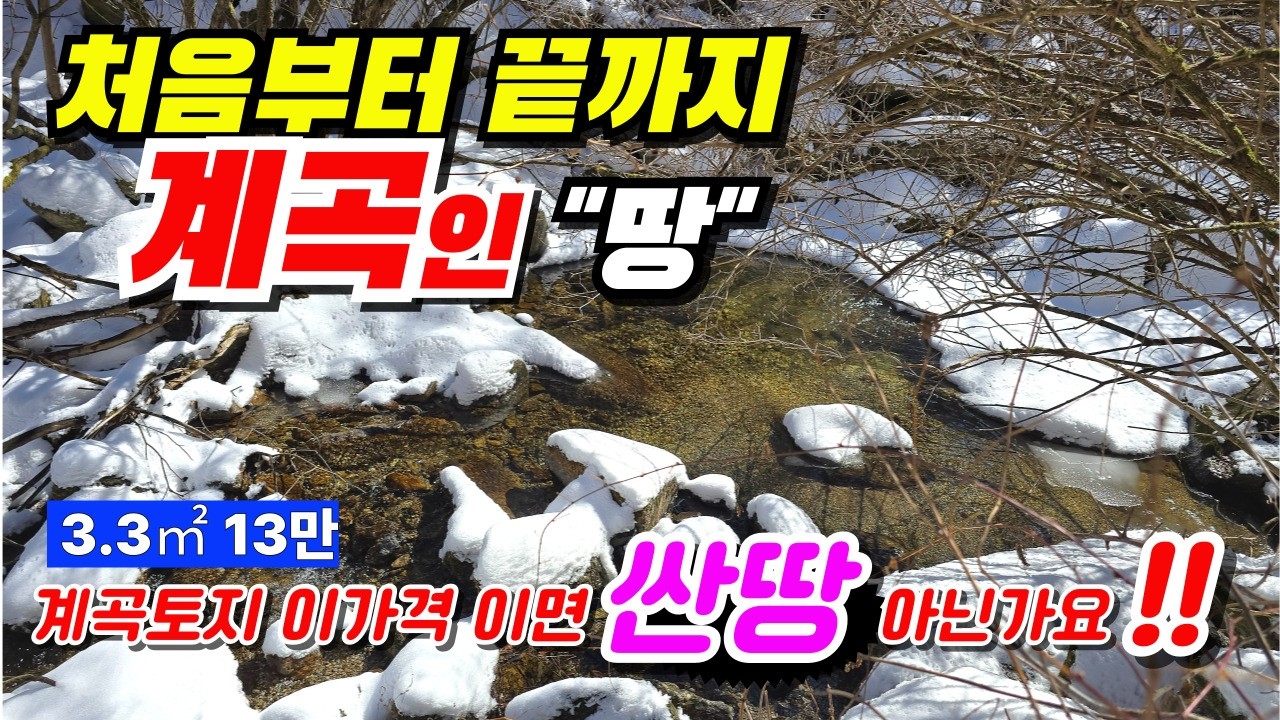 🚨단양계곡토지 │  청정계곡접한땅 │    끝내주는계곡땅 💕급매물 