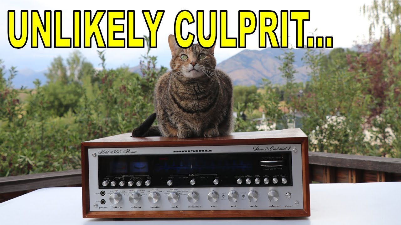 They bought a RESTORED Marantz and didn't even know it! Probably because it NEEDS WORK