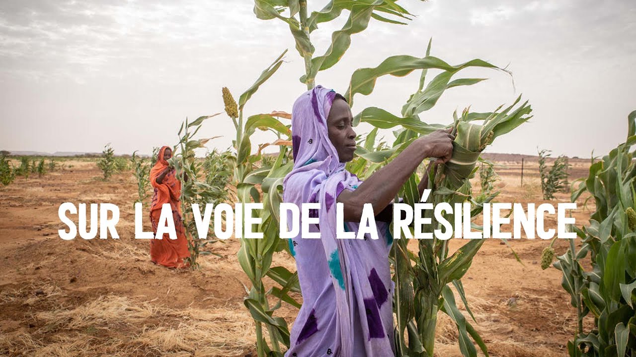 Mauritanie. S'attaquer aux causes profondes de l'insécurité alimentaire due au changement climatique