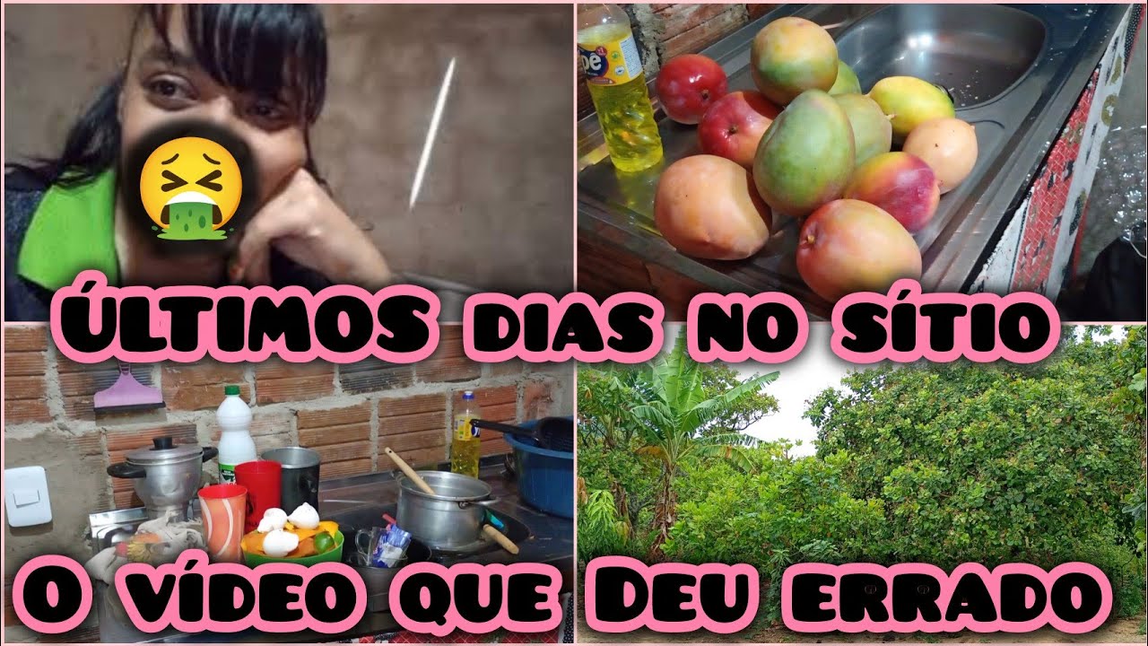 ÚLTIMOS DIAS NO SÍTIO. ERA PRA SER UM VÍDEO DE ORGANIZAÇÃO + PASSEI MUITO MAL 🤢 FIZ OQUE PUDE!😔