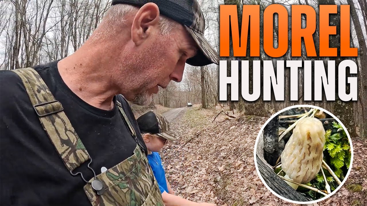 First Morel of 2025! (Morel Mushroom Hunting)