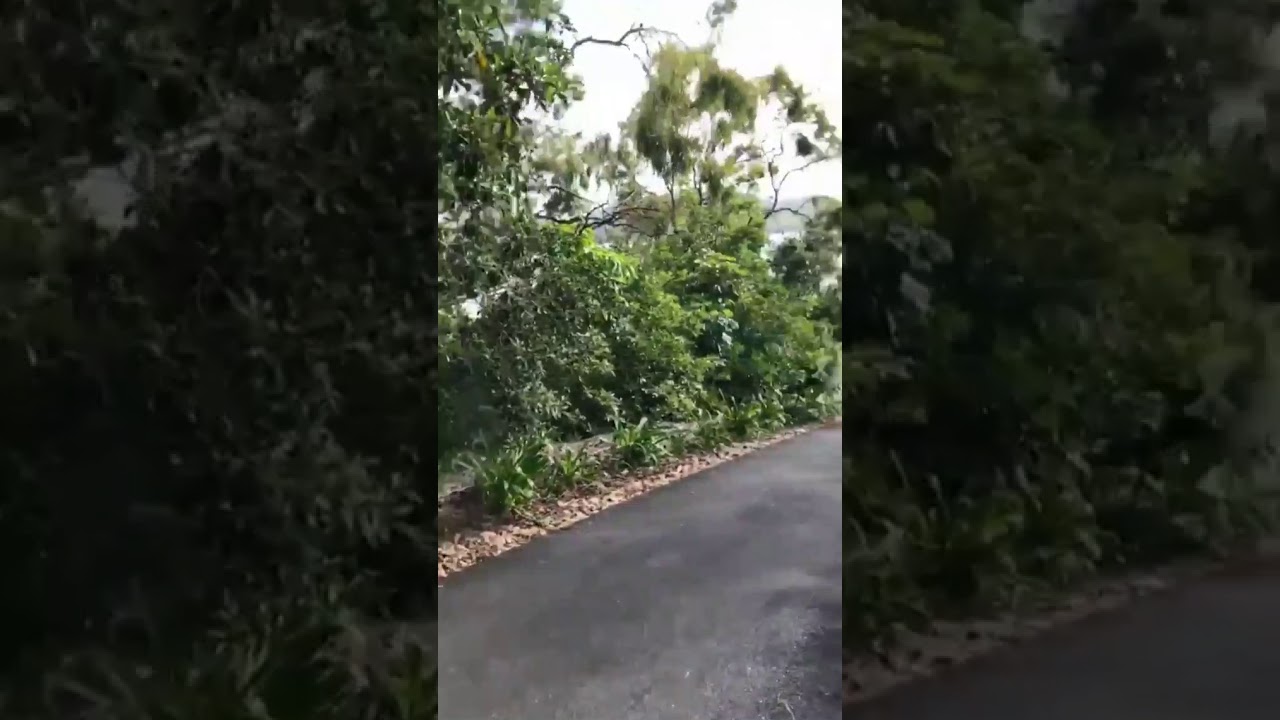 Paulo Gustavo stories