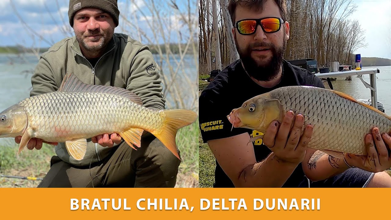 Delta Dunarii, aprilie 2021 - Pescuit la somn si crap, primavara pe Dunare