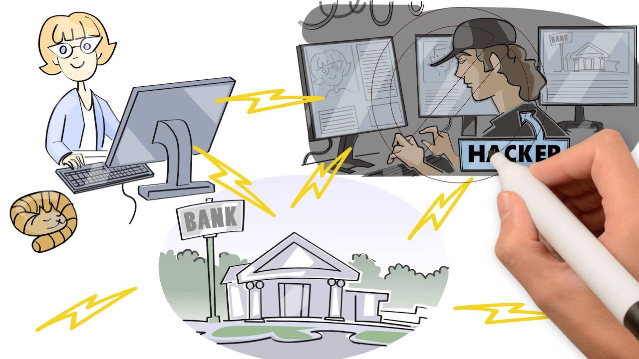 IBM web fraud