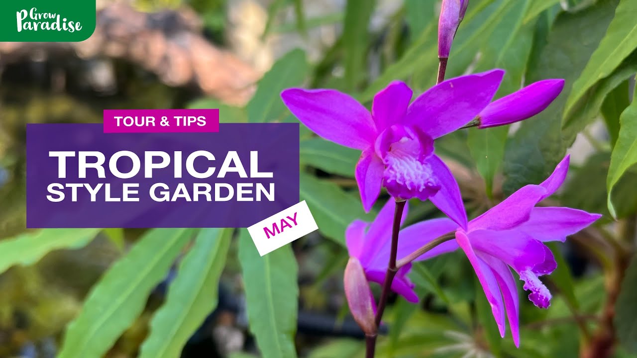 May Magic! Exploring a Lush Tropical Garden + Nursery Plant Sneak Peek!