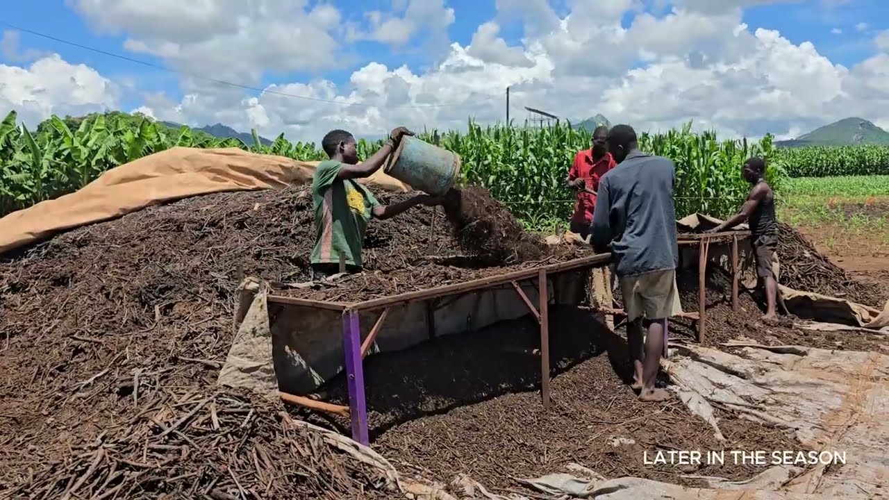 Good Compost makes for Great Produce!