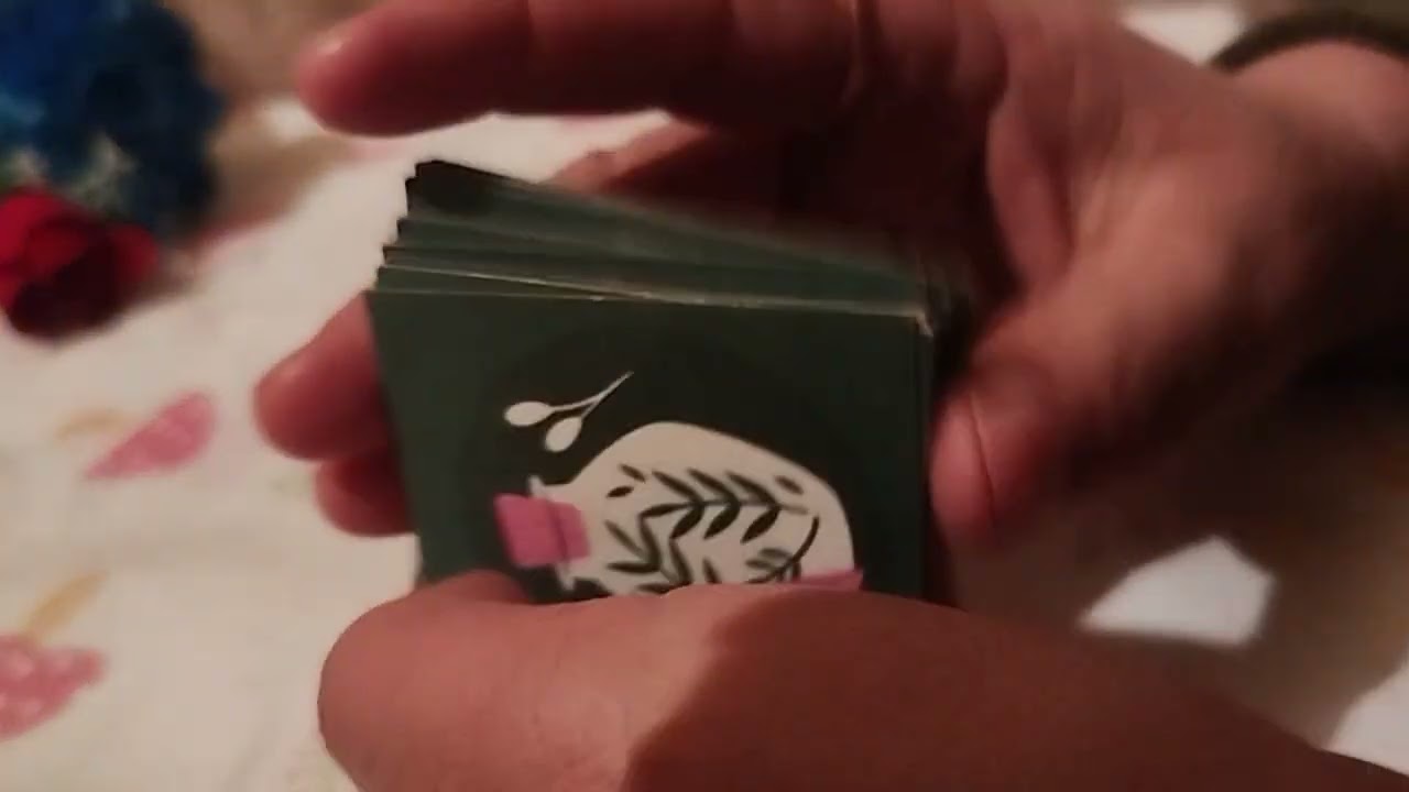 Х, инд фоли тел 998508860639