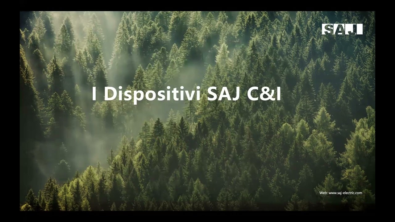 SAJ Webinar-Italia-L'introduzione di C&I: Inverter di stringa serie R6, C6, soluzione CHS2-IT