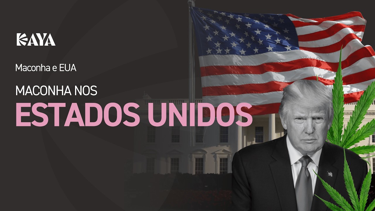 Maconha nos EUA: o que Trump mudou e por que isso pode afetar o Brasil