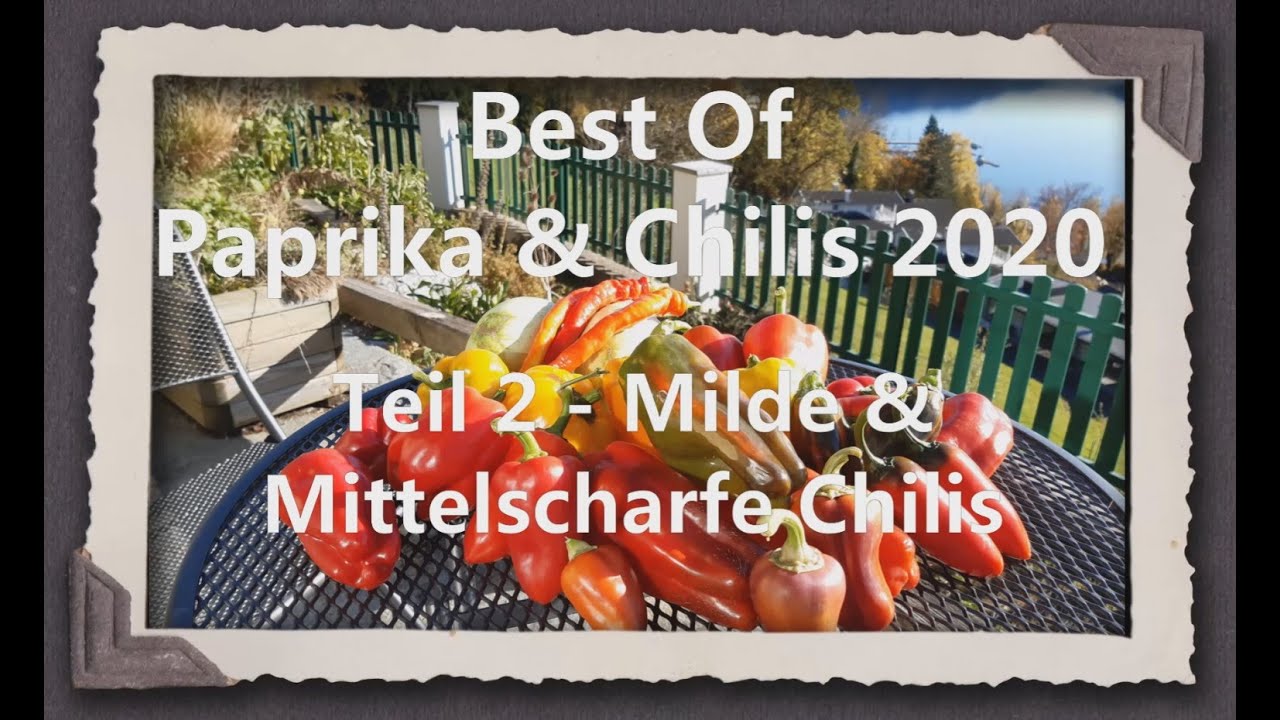 Best of Paprika & Chilis 2020 Teil 2 - Milde & Mittelscharfe Chilis