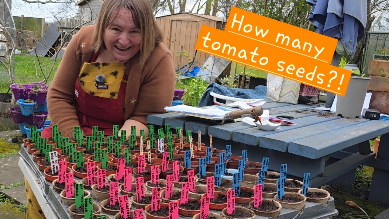 Time to sow my tomato seeds!