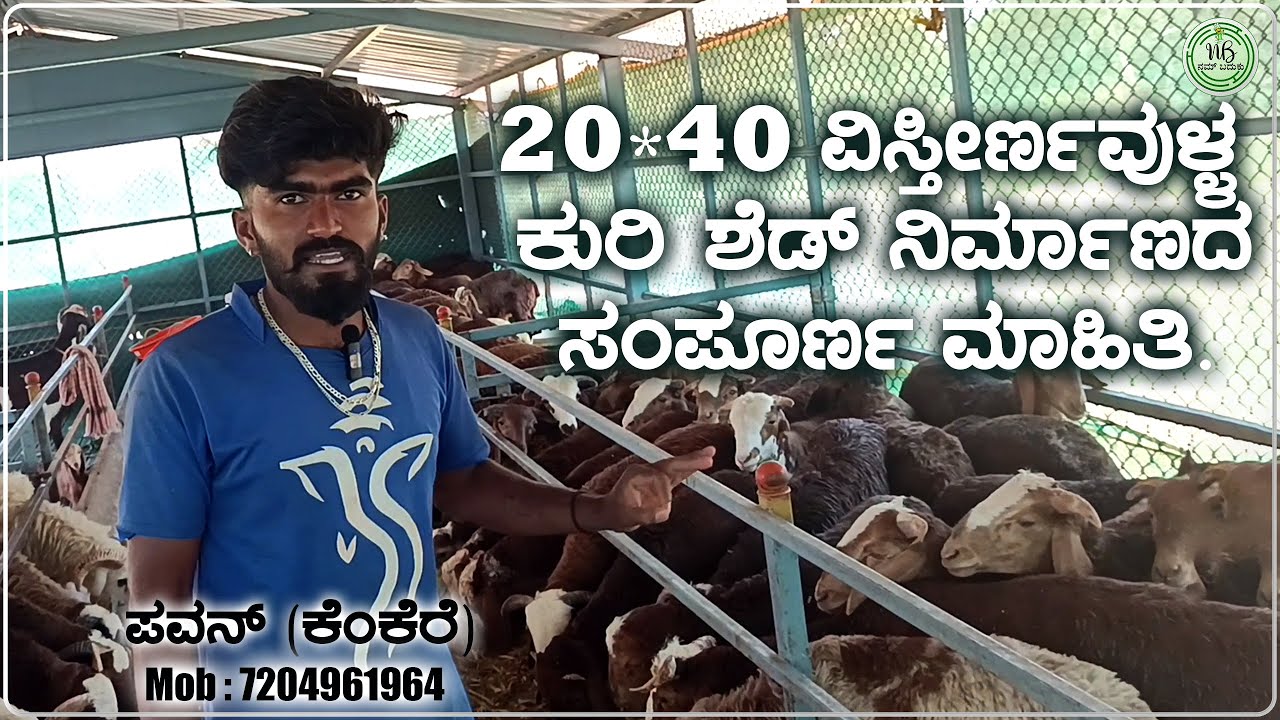 20*40 ವಿಸ್ತೀರ್ಣವುಳ್ಳ ಕುರಿ ಶೆಡ್ ನಿರ್ಮಾಣದ ಸಂಪೂರ್ಣ ಮಾಹಿತಿ | Kuri Sakanike | Sheep Farming | Nam Baduku
