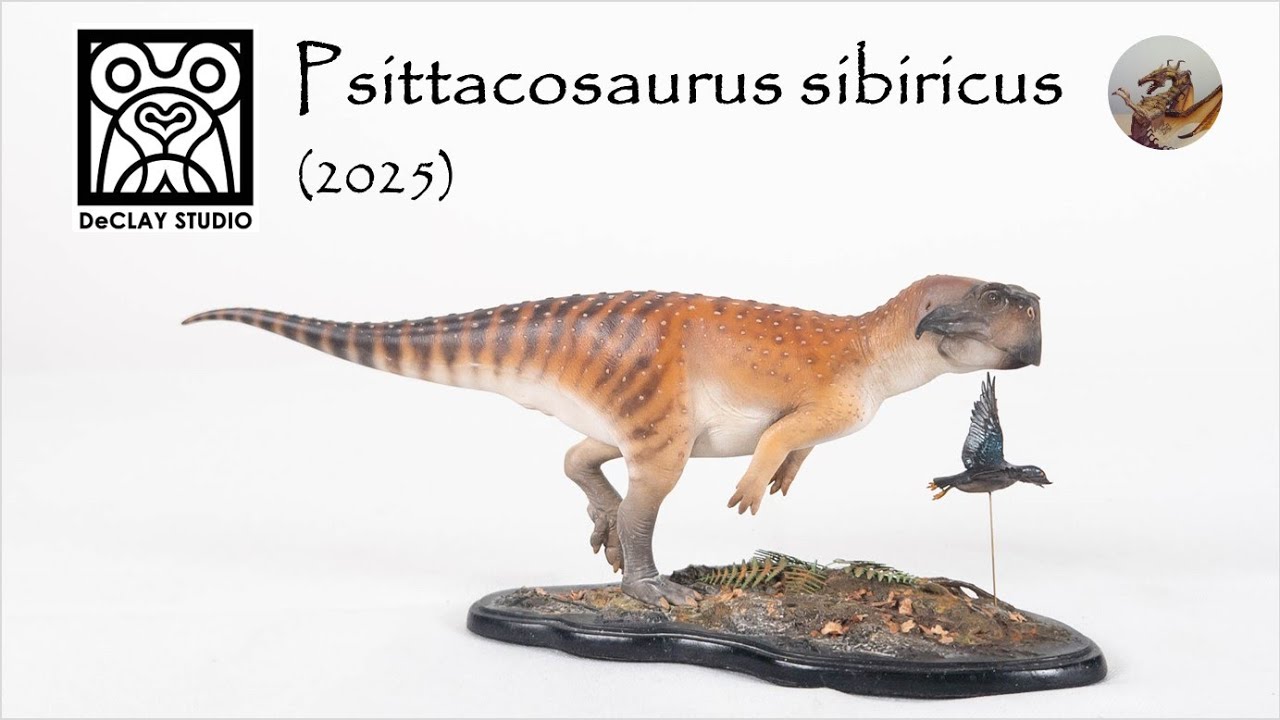 375: De Clay Studio Psittacosaurus sibiricus 2025