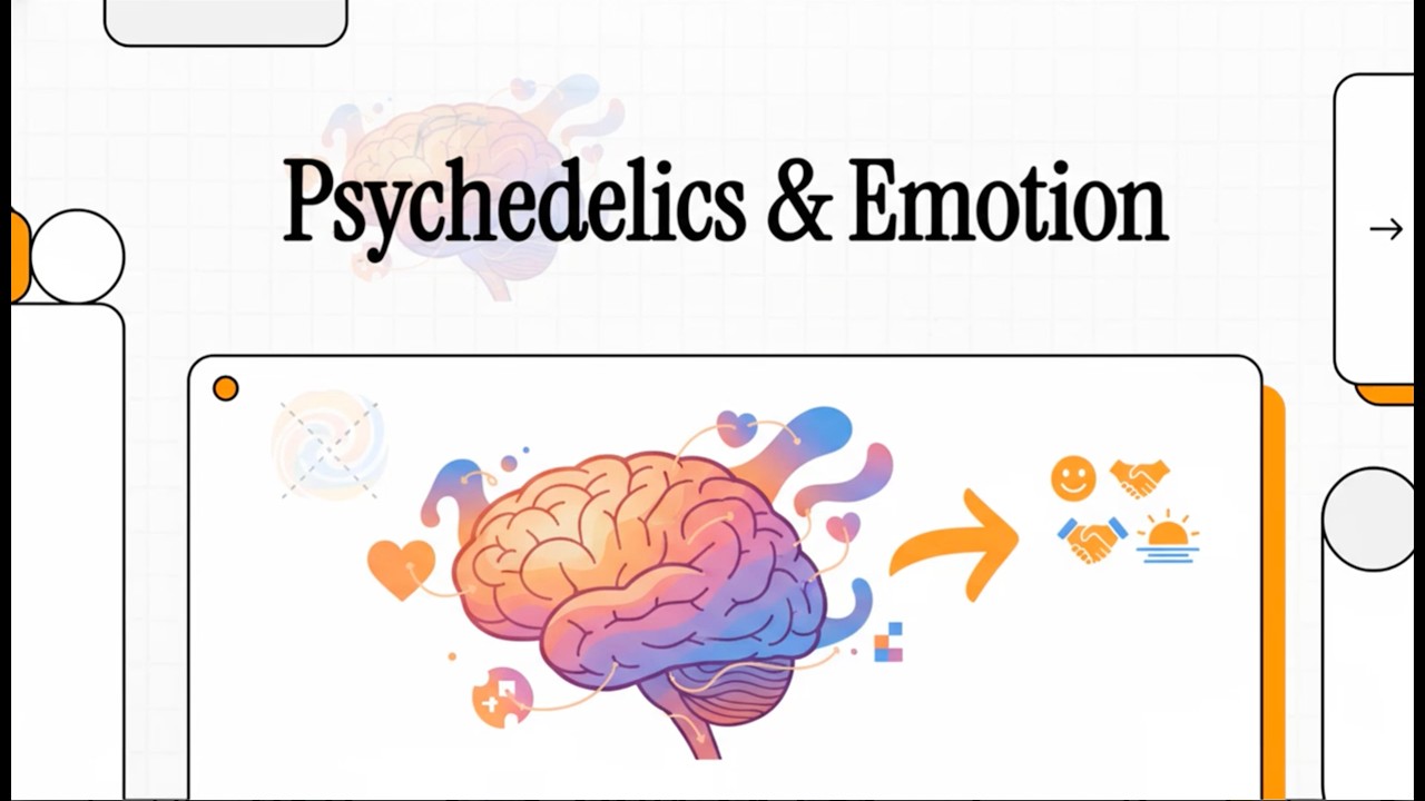 The Psychedelic Brain: Emotion & Mood Therapy (Moujaes et al., 2025 I)
