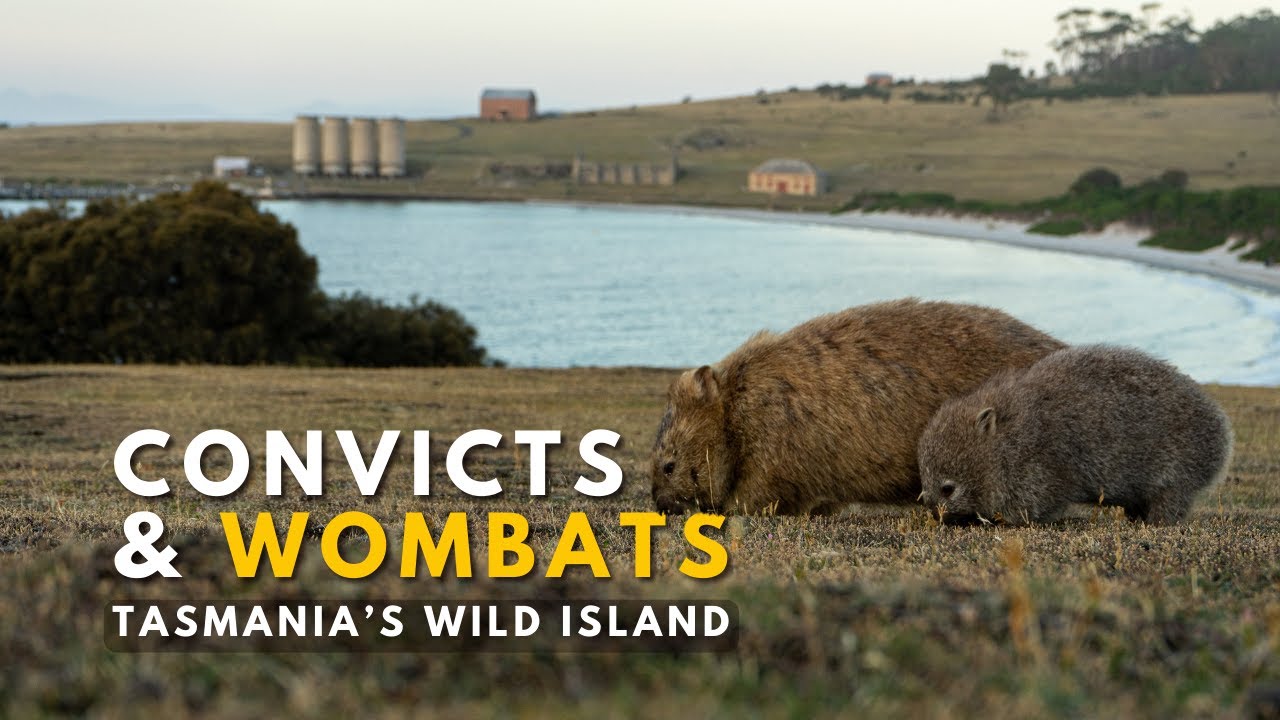 Maria Island in 3 Days | Wombats & Epic Hikes | Tasmania Road Trip Vlog 3