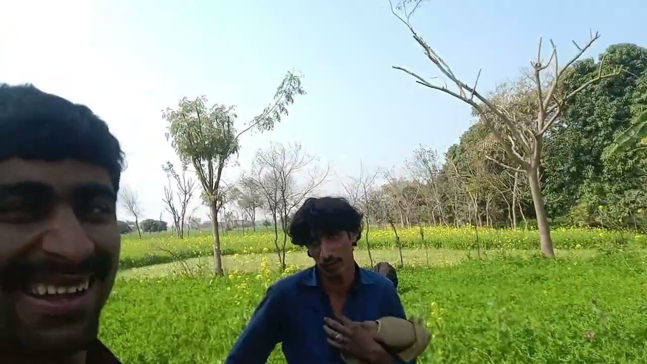 گوگل لوکی فضل تیار مارکیٹ میں ریٹ بہت کم کسان پریشان