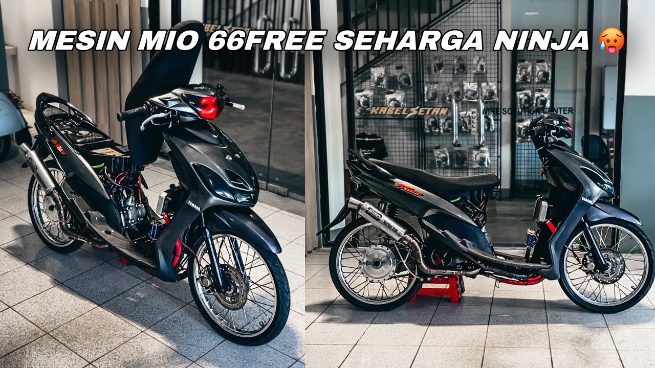 Akhirnya Mio 66free pulang 😭