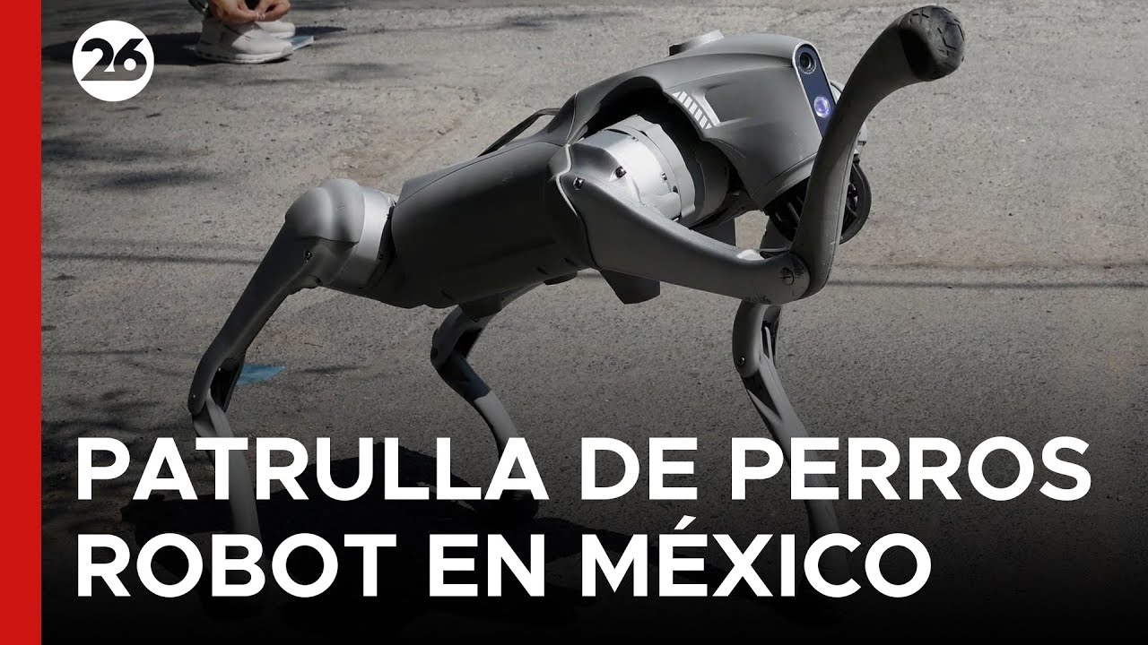 🇲🇽 DIVISIÓN K9-X | Despliegan dispositivos de monitoreo estratégico en eventos de alta concurrencia