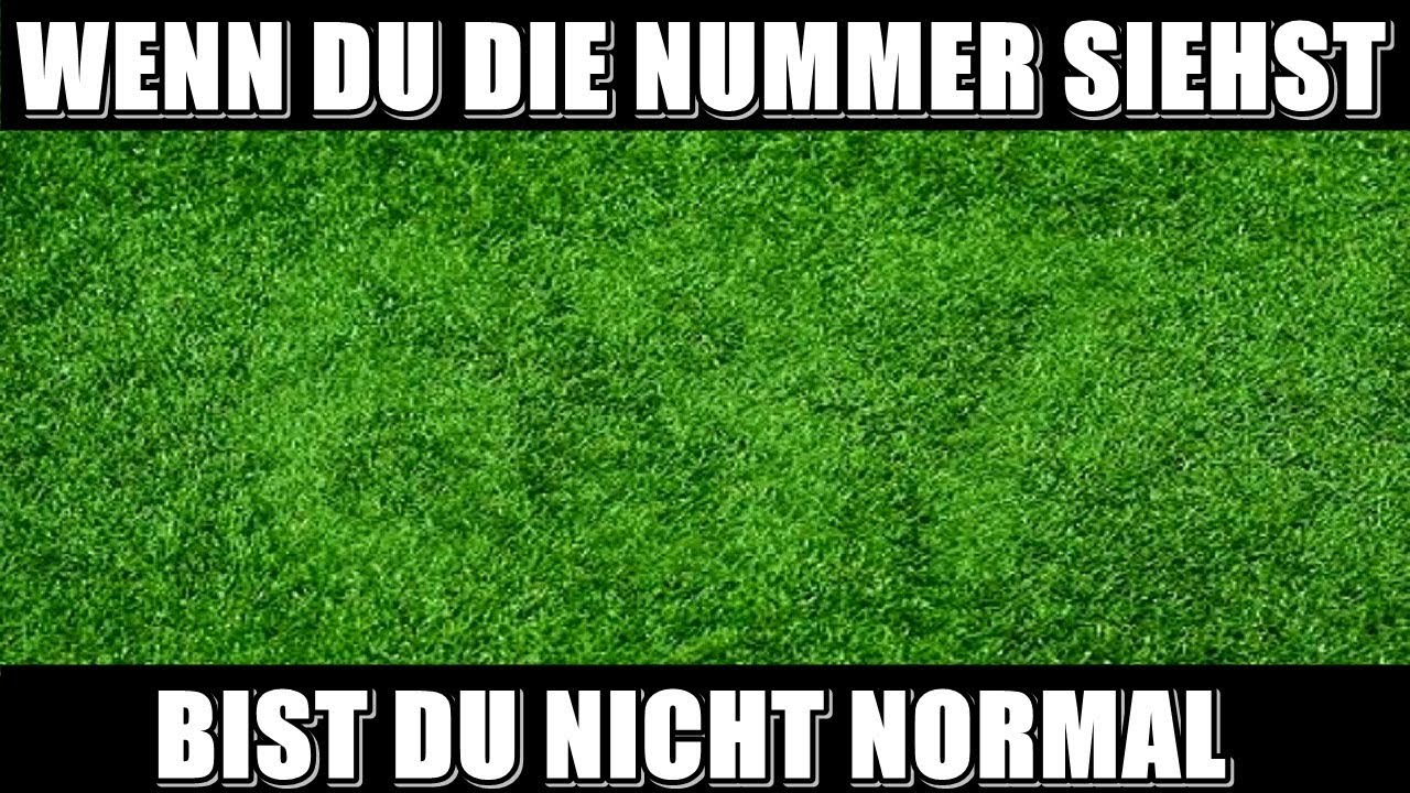 Welche Zahl siehst du? Der große Sehtest!