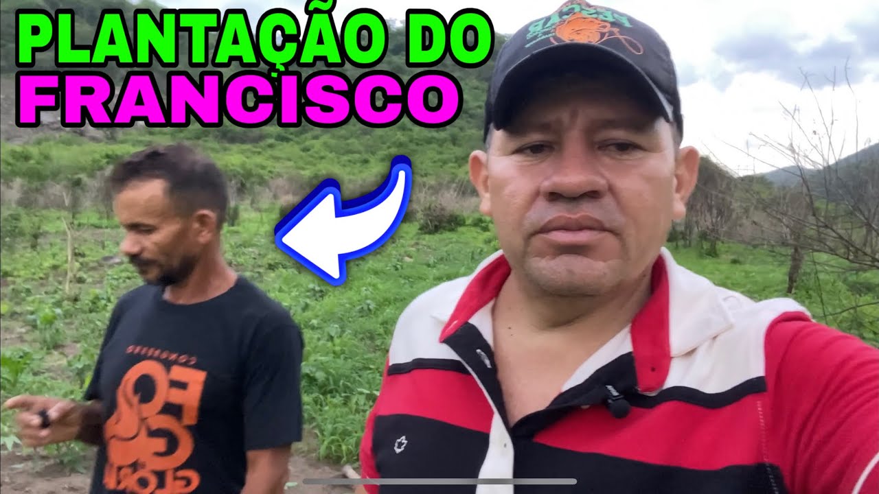 FRANCISCO MOSTRA MAS UMA VEZ SUA PLANTAÇÃO@CANAL Luís Felipe ceará