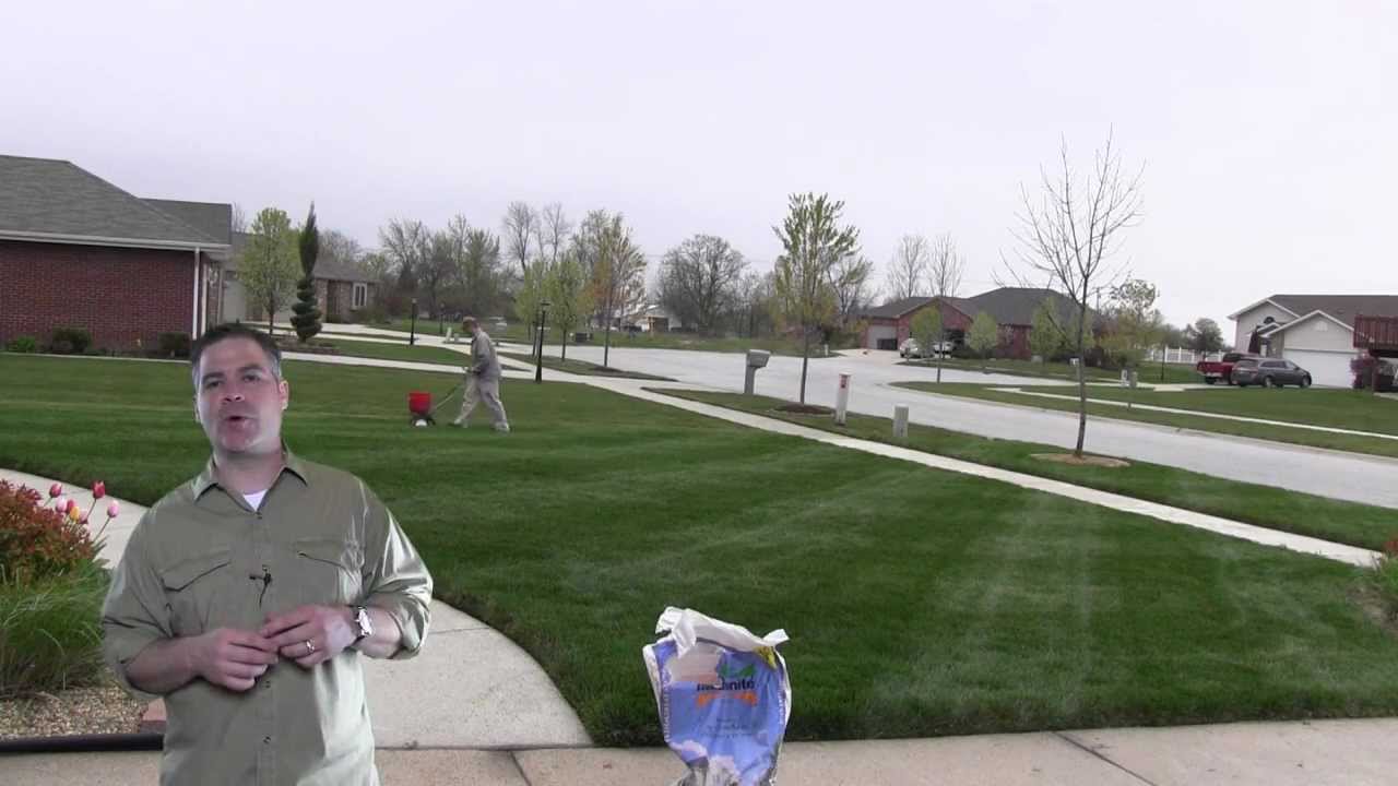 How Much Fertilizer Do I Put On The Lawn