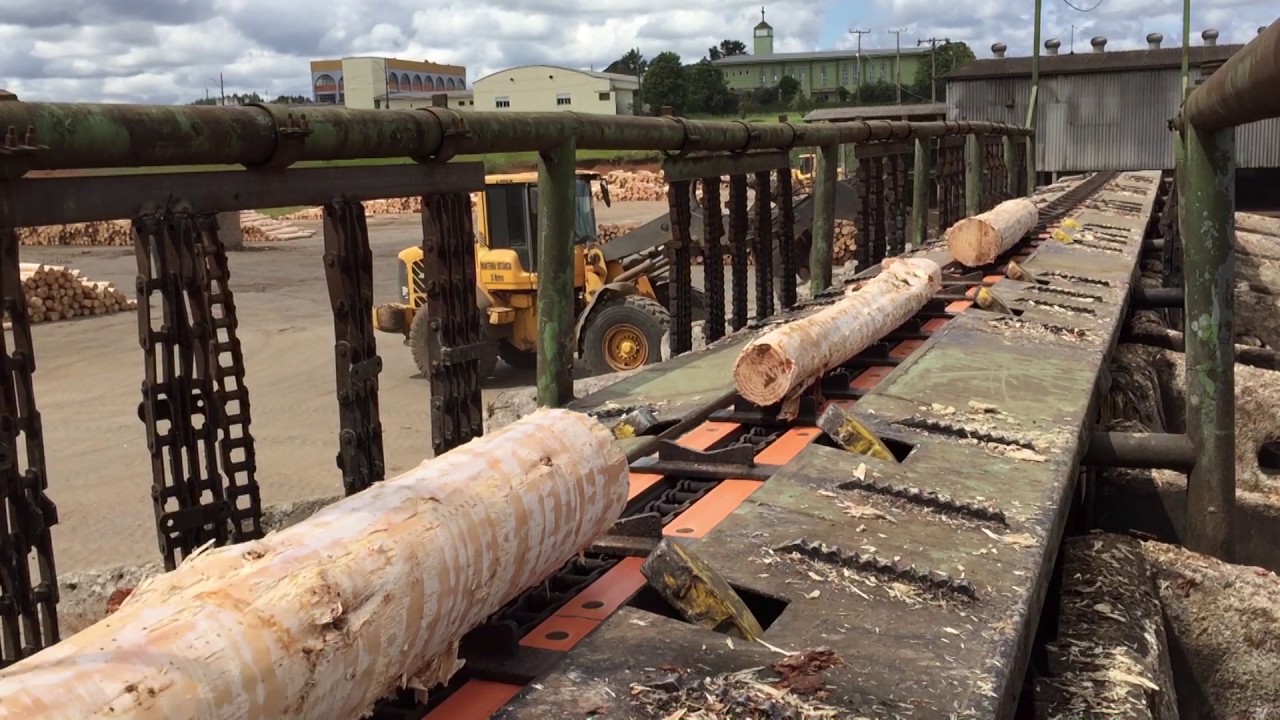 Classificador de Toras | Log Sorter| Classificadora de Rollos