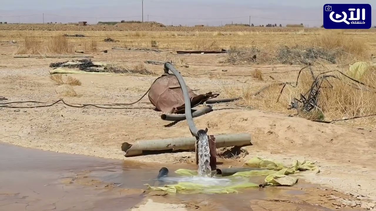 جولة قصيرة بإحدى المستثمرات الفلاحية صحراء النمامشة بالمنطقة الجنوبية خنشلة