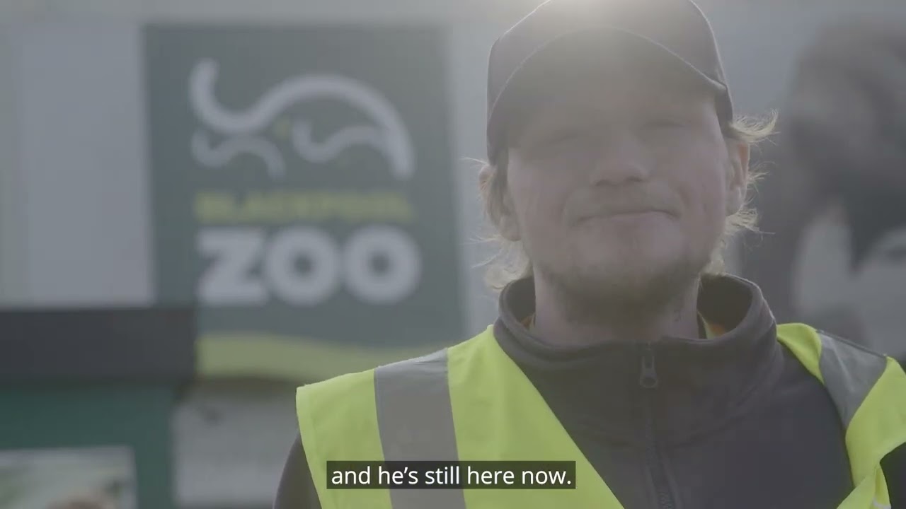 Richard Peachey - Work and Health Programme (WHP)