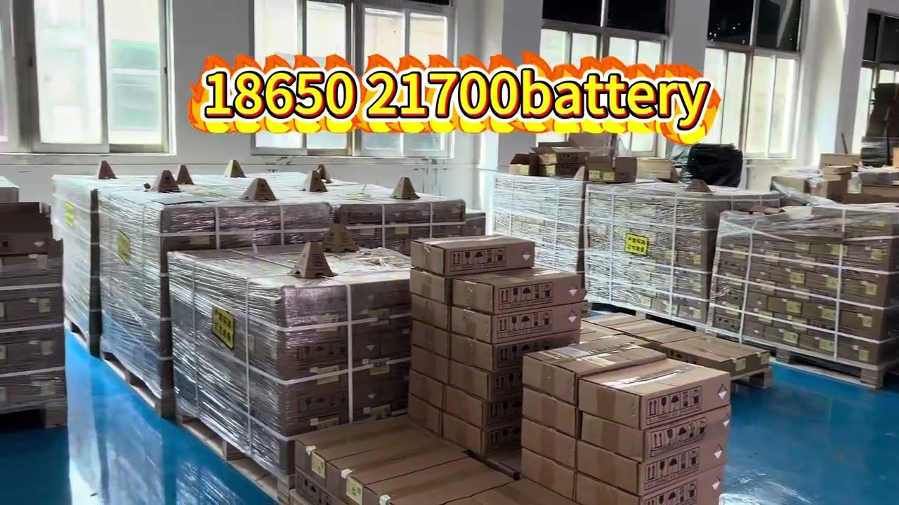 Dmegc 18650 21700battery