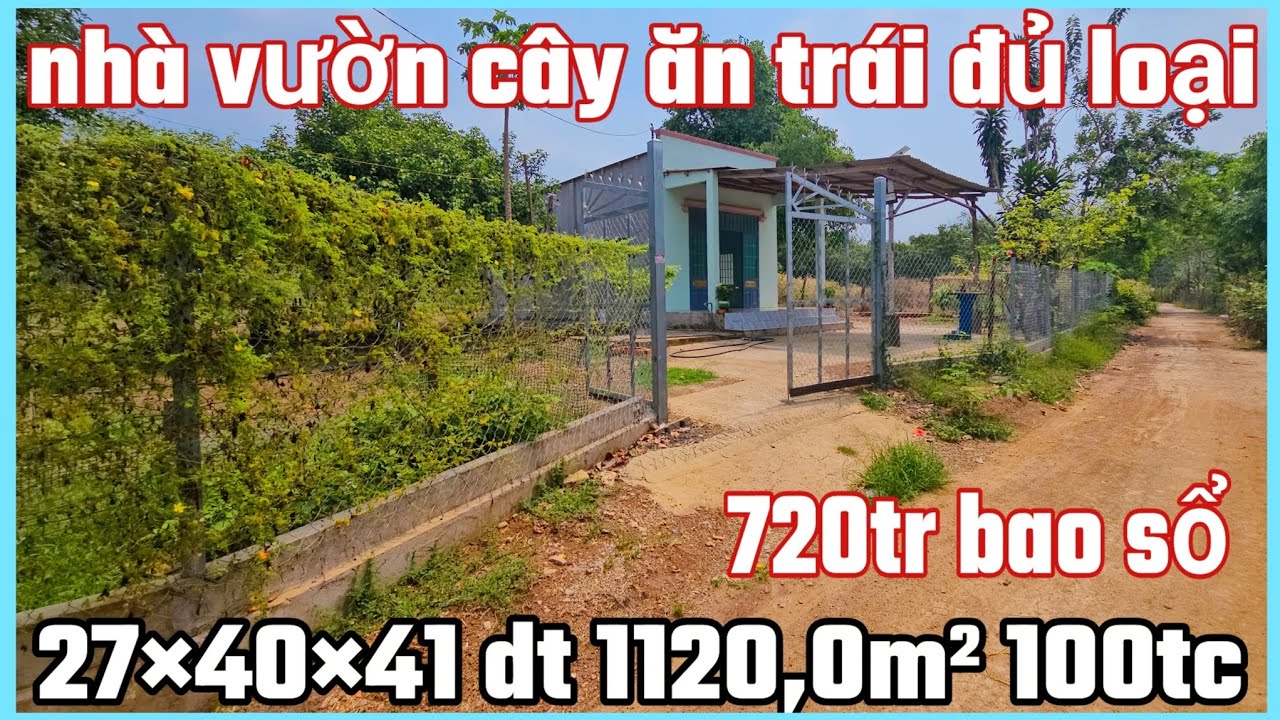 Nhà vườn trái cây đủ loại 27×40×41×100tc dt 1120,0m² khu dân cư đông đúc giá 720tr bao sổ 