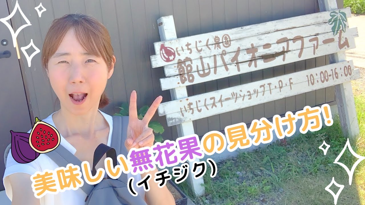 千葉【南房総】初めて一人でいちじく狩りしてみた♪