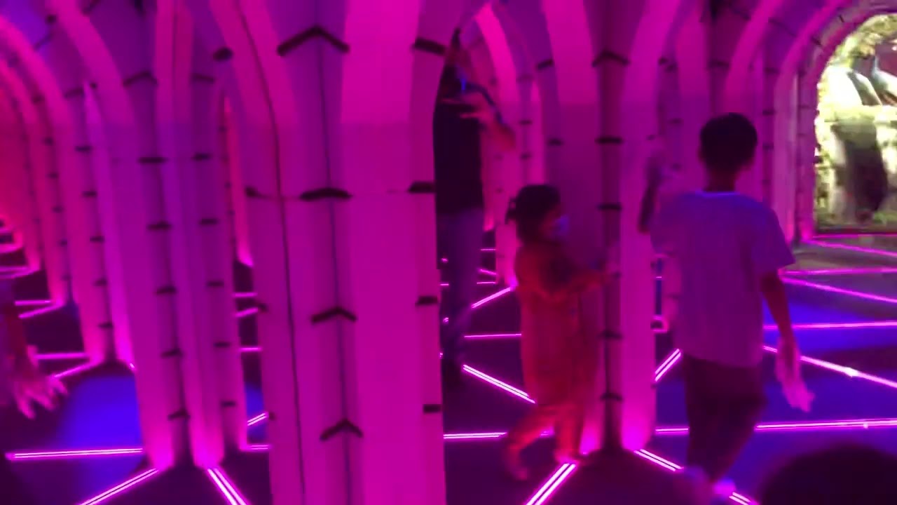 Mirror Maze Dubau
