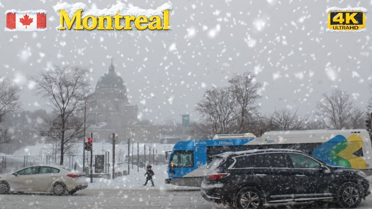 Driving to Côte-des-Neiges in Heavy Snow ❄️ | Morning Drive after Snowfall Warning #montreal