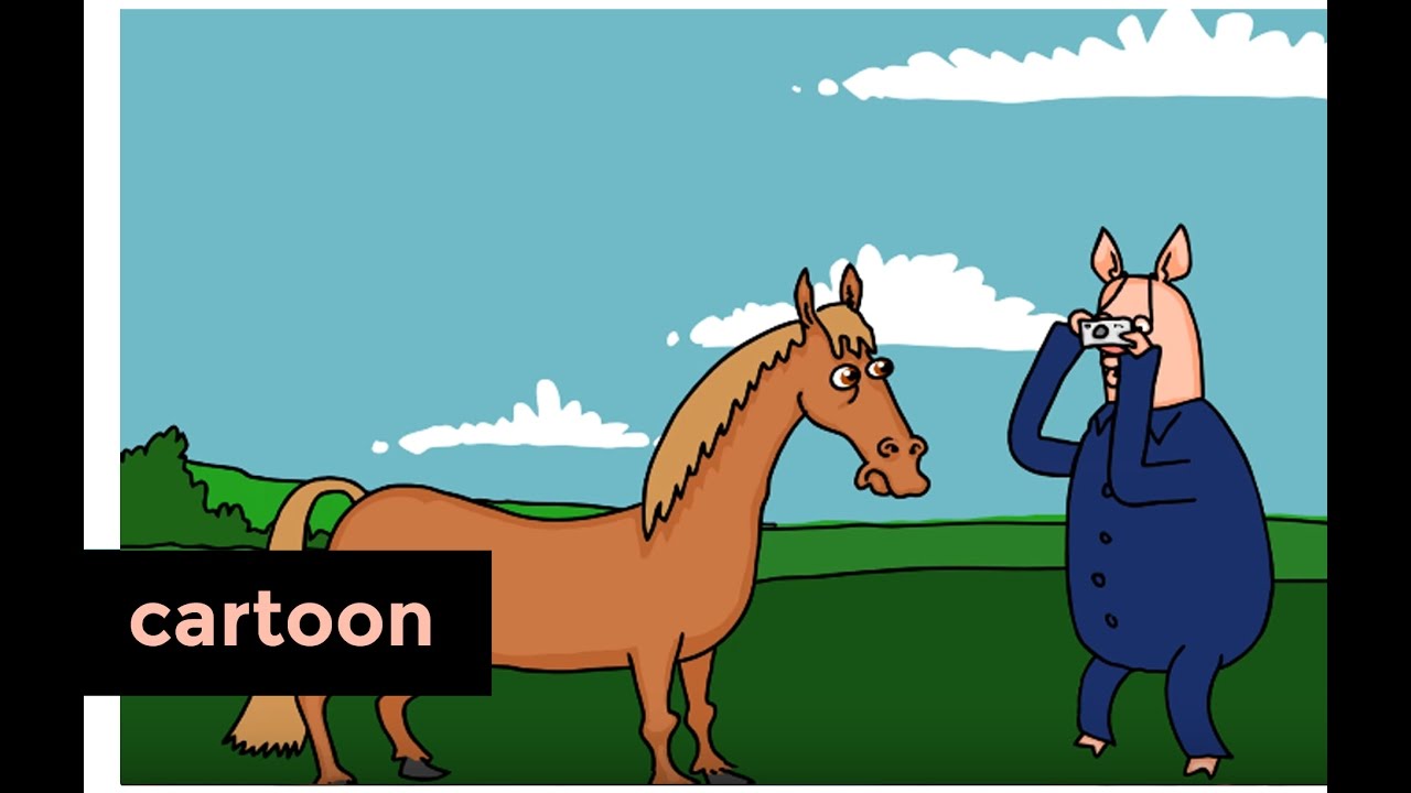 Varkentje Rund - Paardenfotograaf | Het Klokhuis