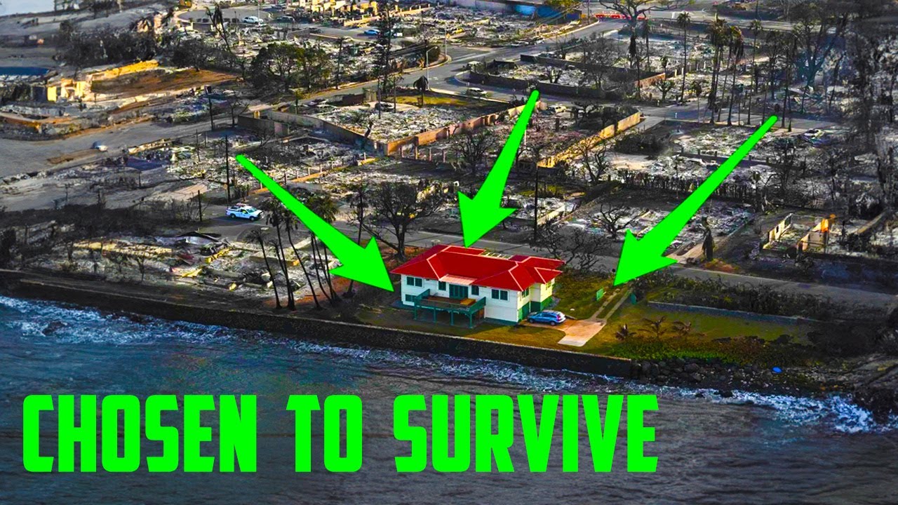 The Few Chosen to Survive End Times | Sufi Meditation Center