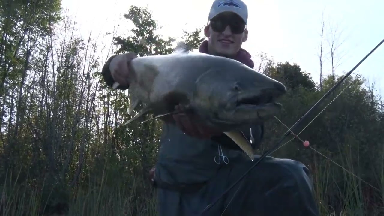 906 Outdoors - Fall River Fishing for Salmon and Trout