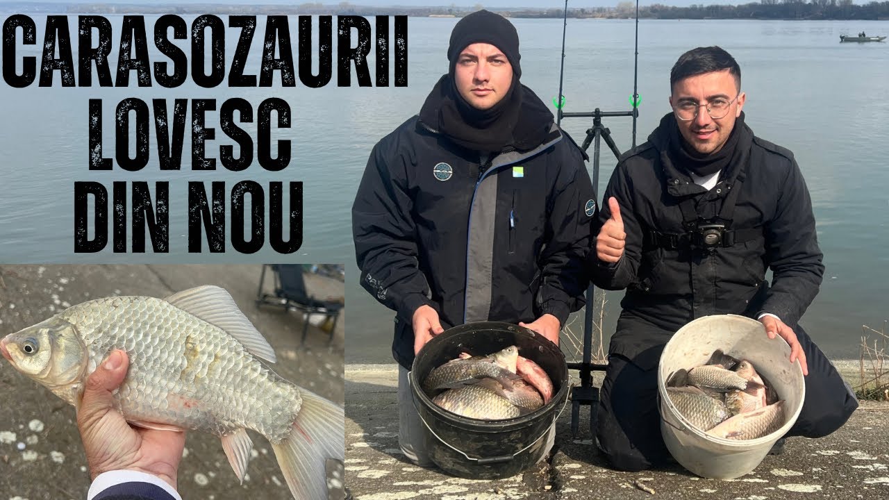 Am găsit CARASOZAURII de DUNĂRE!! Pescuit la METHOD intr-o zona cunoscută de toți pescarii!!
