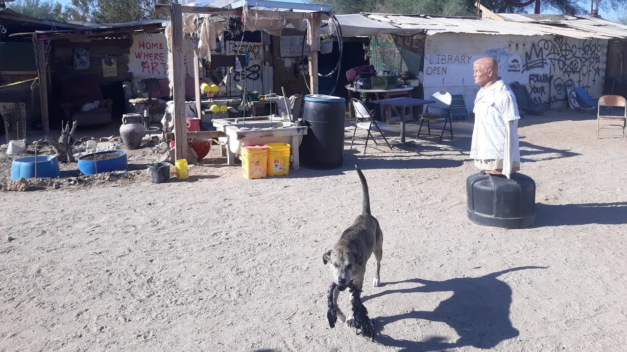 Slab City Library Chill Live