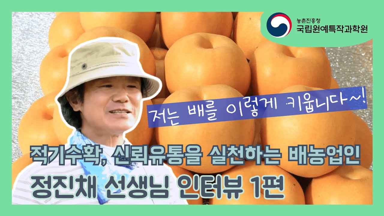 [#원예농업기술서비스] 배 농업인👨&zwj;🌾🍐 정진채 인터뷰 1편ㅣ배 연구소ㅣ국립원예특작과학원