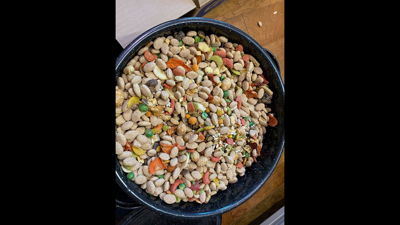 #192 HEALTHY DIET FOR PARROTS, WHAT I FEED MY BIRDS!